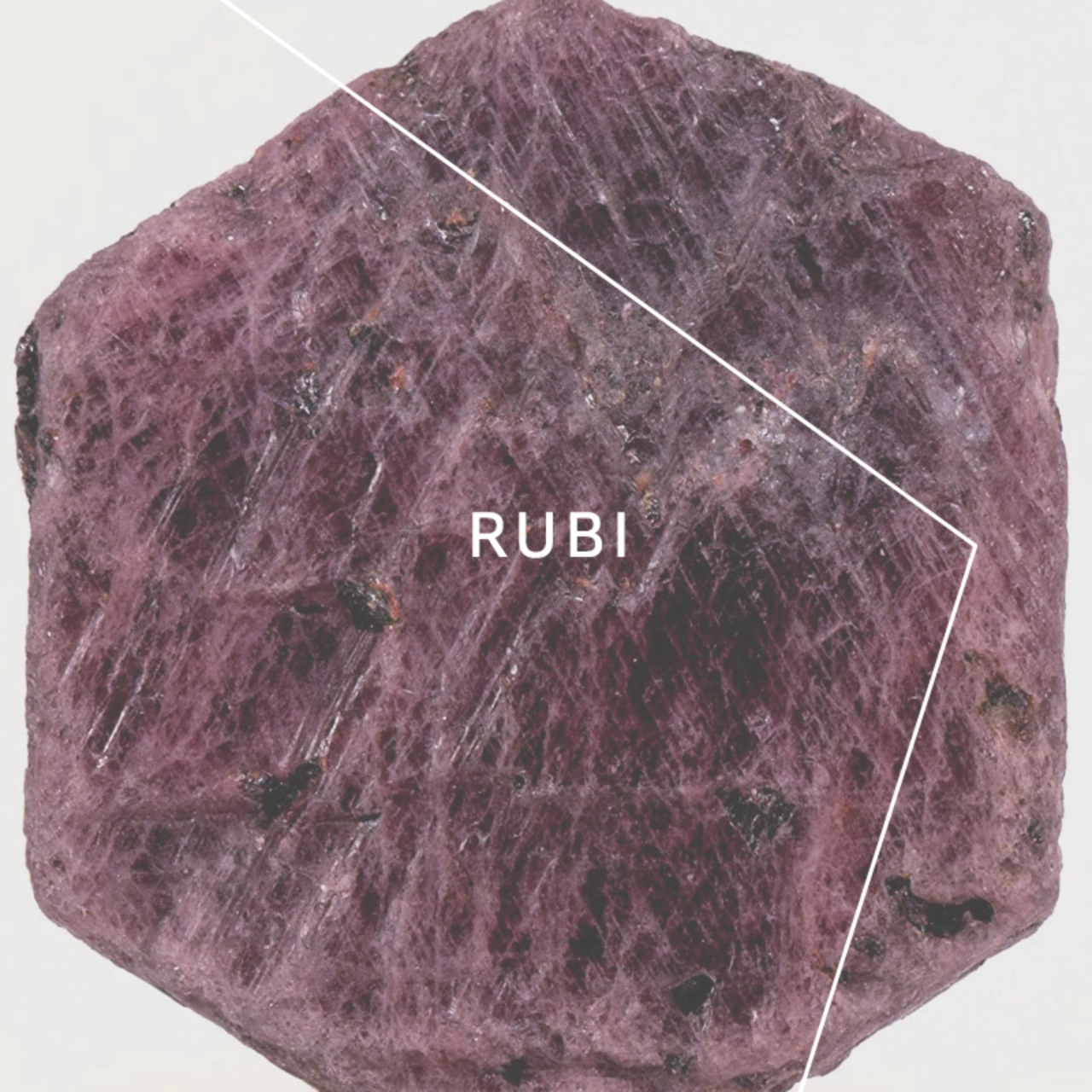 RUBI