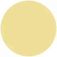 PRATA 950 COM BANHO DE OURO AMARELO 18K